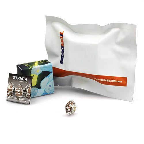 OHM Beads GOTM NO. 35 Striata (AMG290)  sterling-silver Bead The Alternative Bead