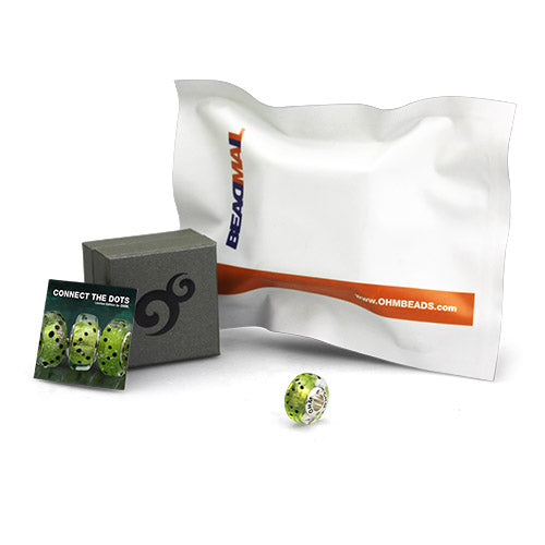 OHM Beads GOTM NO. 34 Connect The Dots  sterling-silver Bead The Alternative Bead