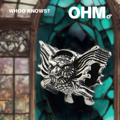 OHM Beads Whoo Knows? (CRW056)  sterling-silver Bead The Alternative Bead