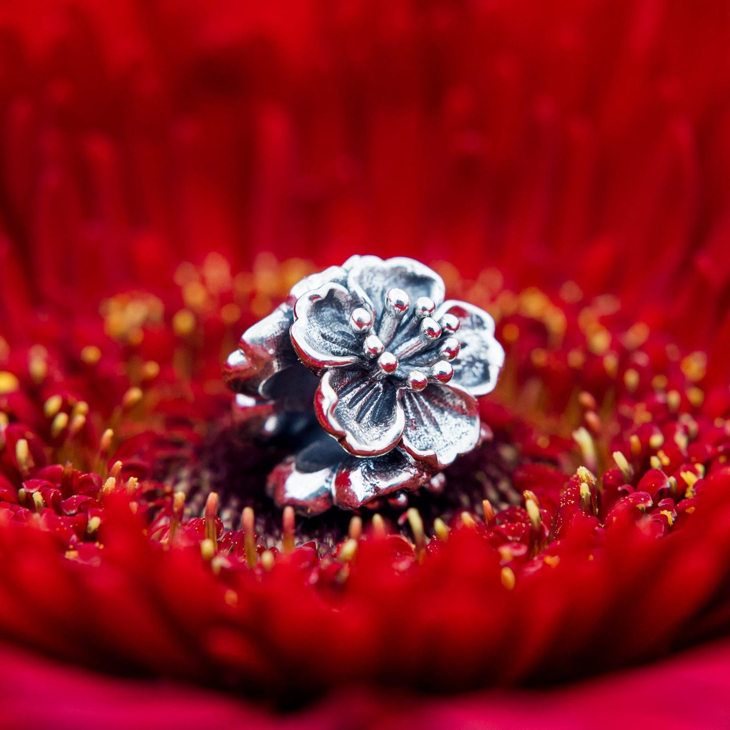 Elfbeads Cherry Blossoms (S220601) silver sterling-silver Bead - The Alternative Bead official German Retailer. Buy 4 get 5 - free DHL Shipping for all orders above 150 ?