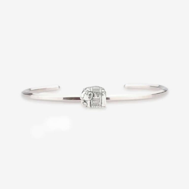 Praan Indian Elephant charm silver sterling-silver Bead by The Alternative Bead. Your official Praan Retailer from Germany