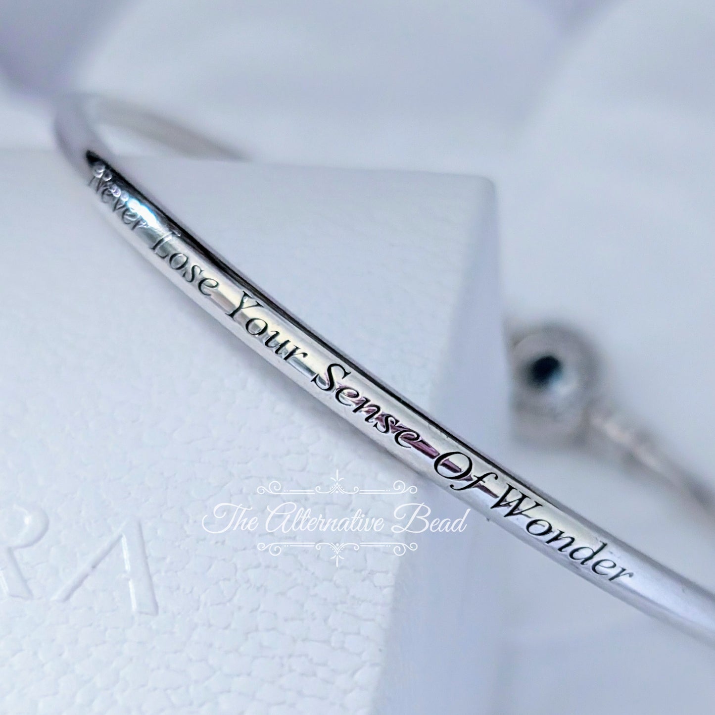 Disney x Pandora Princess Jasmine & Aladdin Bangle silver sterling-silver Bangle by The Alternative Bead. Your official Disney x Pandora Retailer from Germany
