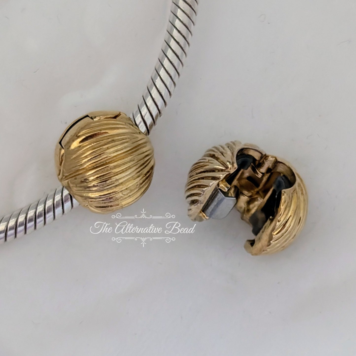 Pandora Shine Seeds of Eleganc Clip sterling-silver Bead by The Alternative Bead. Your official Pandora Retailer from Germany