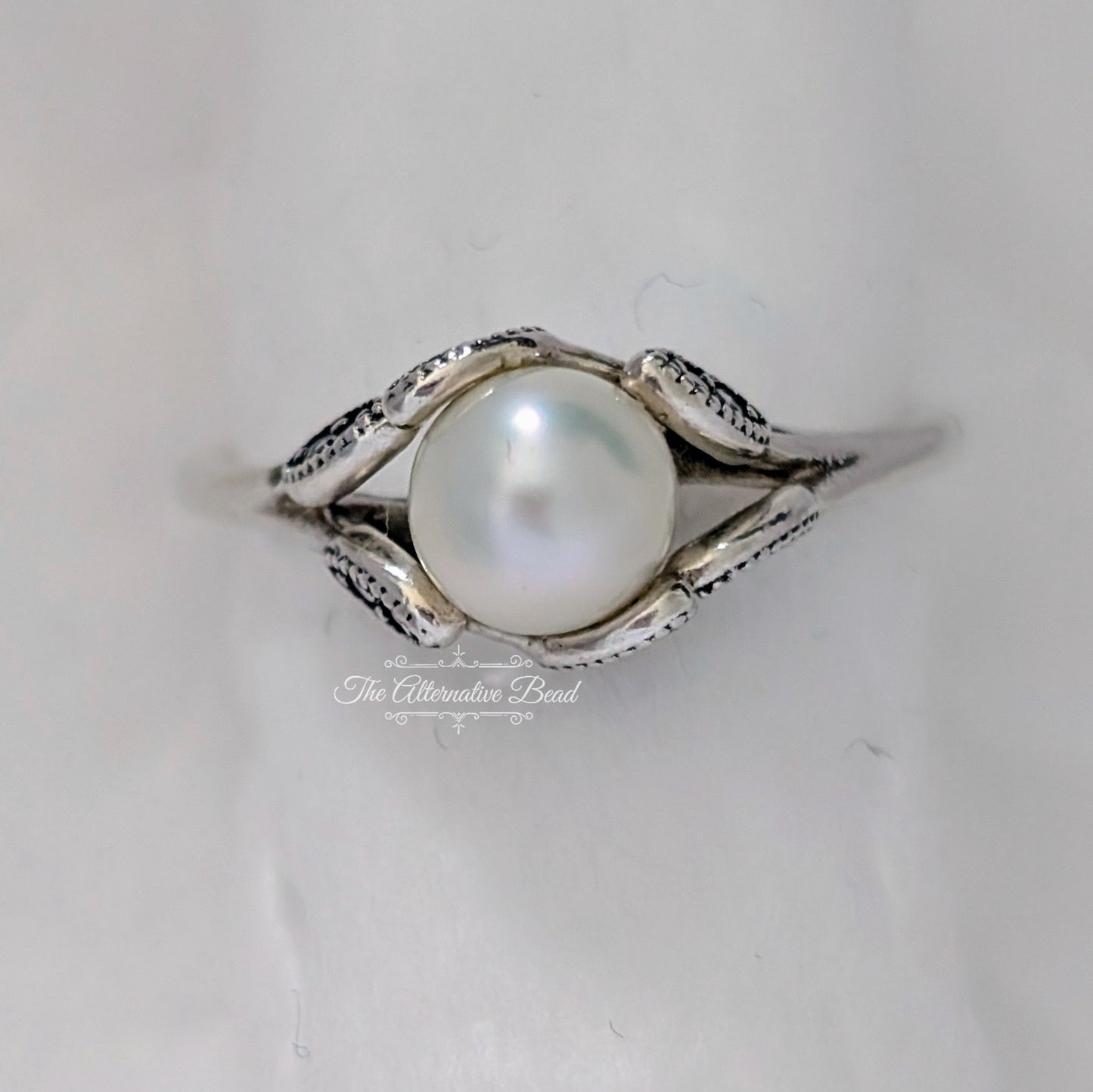 Pandora Luminous Leaves Ring silver sterling-silver Ring by The Alternative Bead. Your official Pandora Retailer from Germany