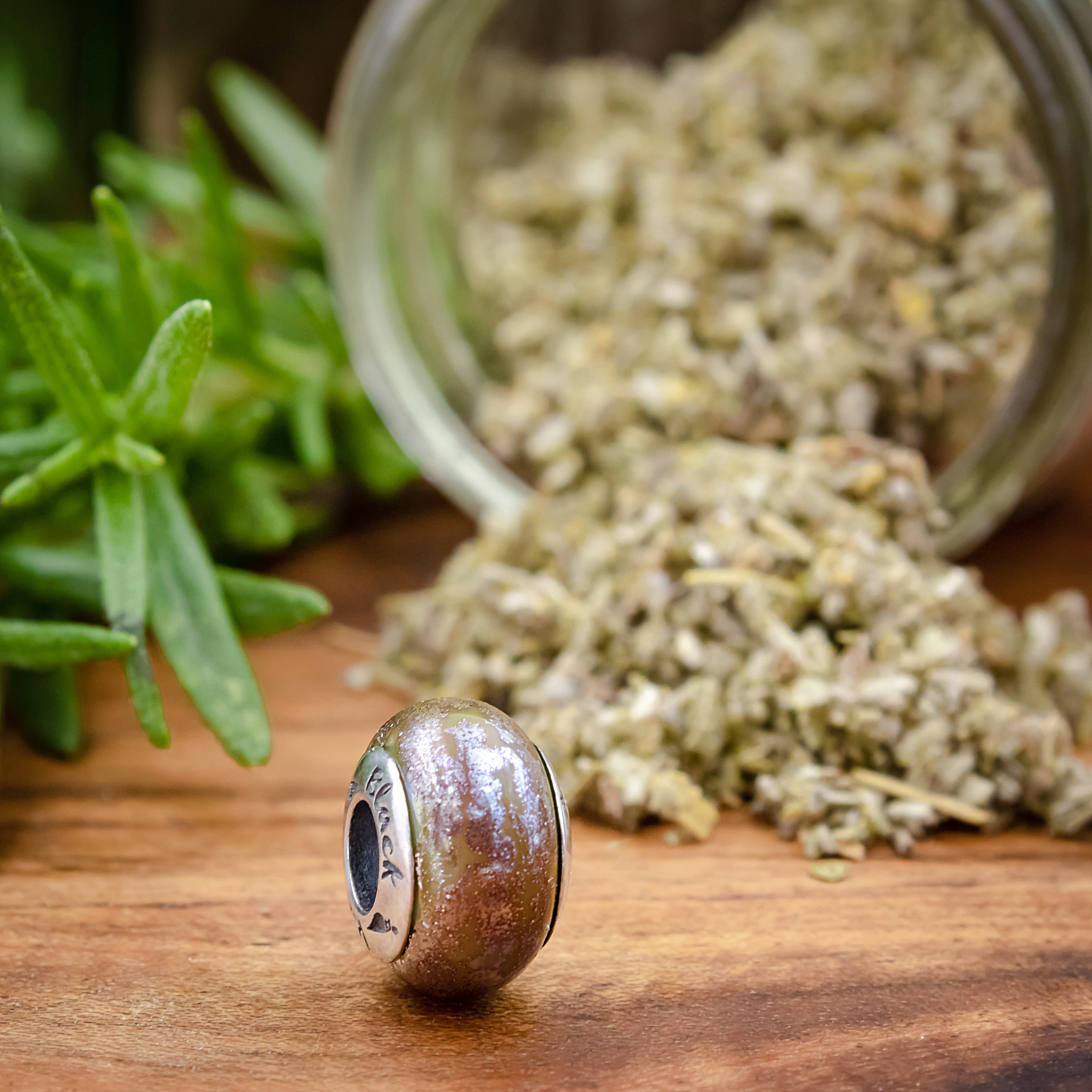 Black Raven Beads Cleanse Yourself glass Charm by The Alternative Bead. Your official Black Raven Beads Retailer from Germany