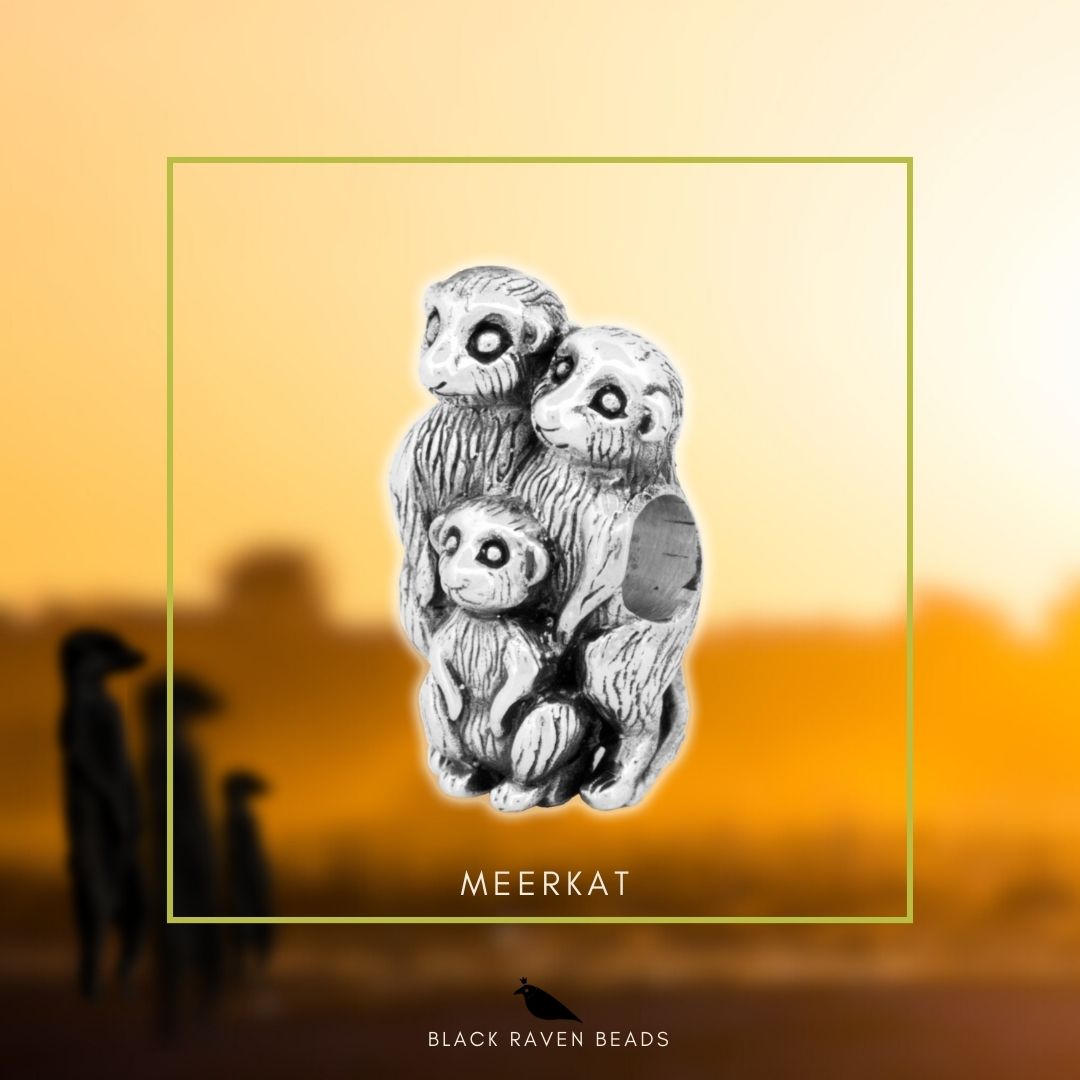 Silver Black Raven Beads Meerkat Family Sterling Silver Charm by The Alternative Bead