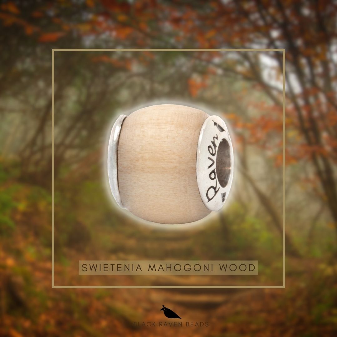 Silver Black Raven Beads Swietenia Mahagoni Wood Wood Charm by The Alternative Bead
