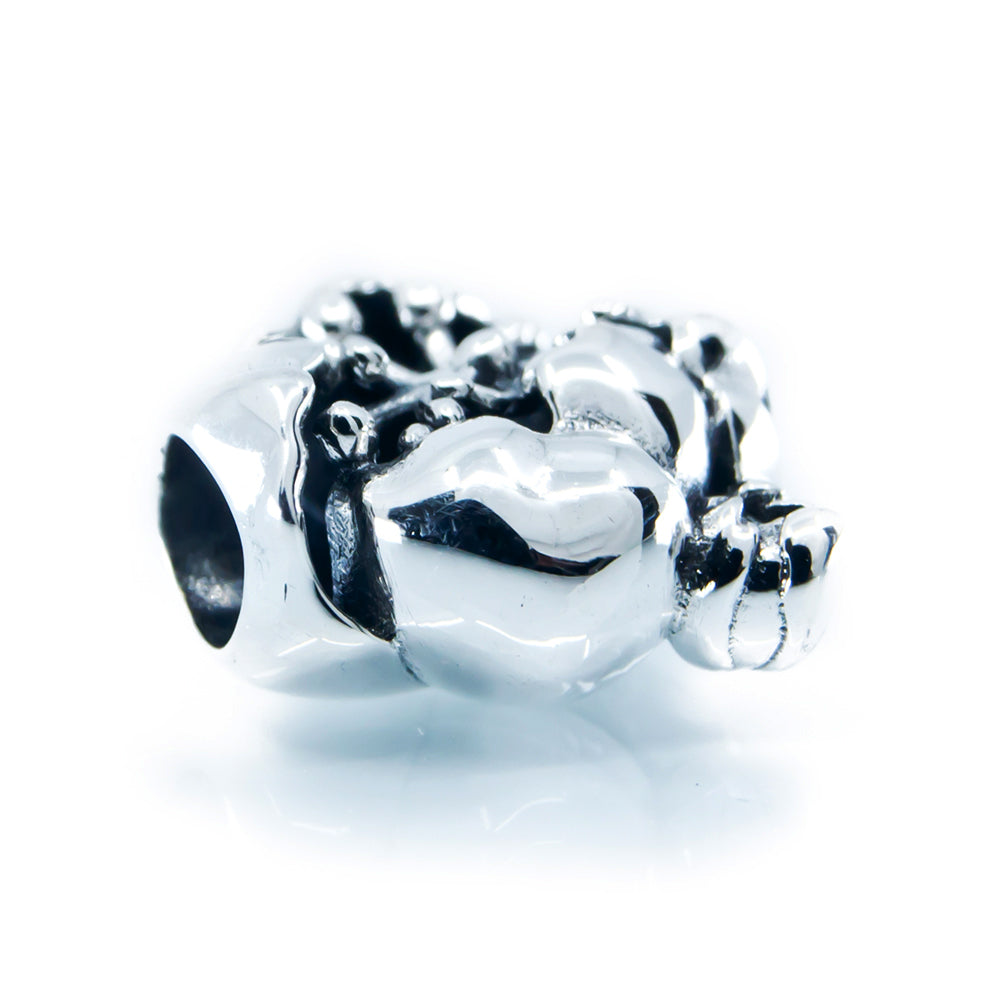 Aurora Charm Secret Pond Lily silver sterling-silver Bead by The Alternative Bead. Your official Aurora Charm Retailer from Germany