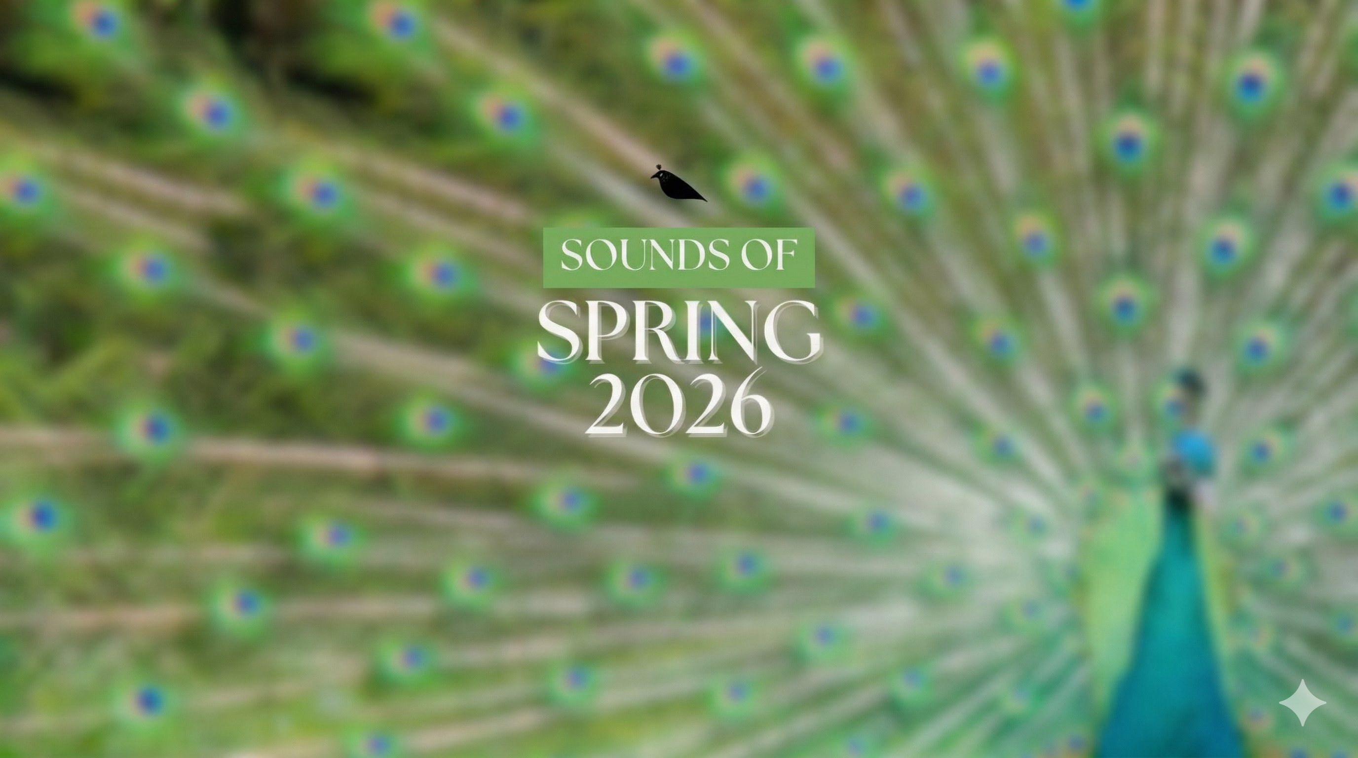 A Whisper of New Life: The Black Raven Beads Sounds of Spring 2026 Collection