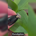 OHM Beads Eucalyptus (AAN037)  sterling-silver Bead The Alternative Bead