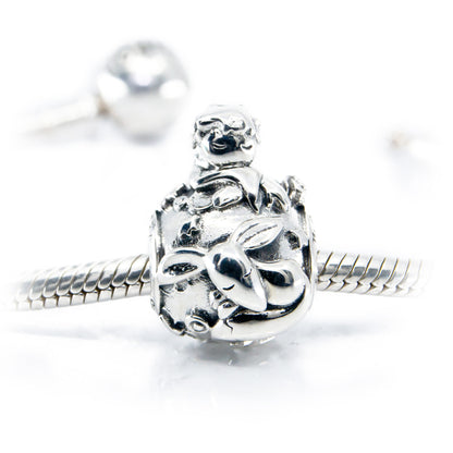 The Alternative Bead: Aurora Charm - The World of The Little Prince Charm Sterling Silver Charm Picture 2