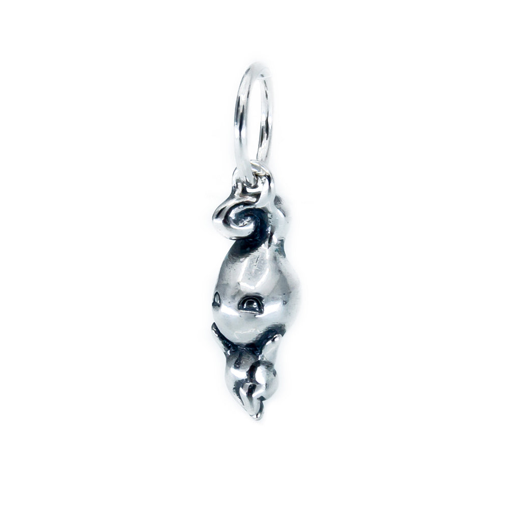 Aurora Charm Joy silver sterling-silver Dangle by The Alternative Bead. Your official Aurora Charm Retailer from Germany