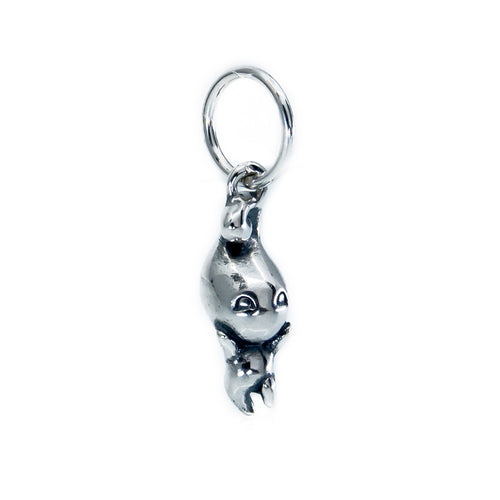 Aurora Charm Joy Tiny Vibes Charm silver sterling-silver Dangle by The Alternative Bead. Your official Aurora Charm Retailer from Germany