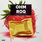 OHM Beads OROQ NO. 12 Joyful Jubilee  sterling-silver Bead The Alternative Bead