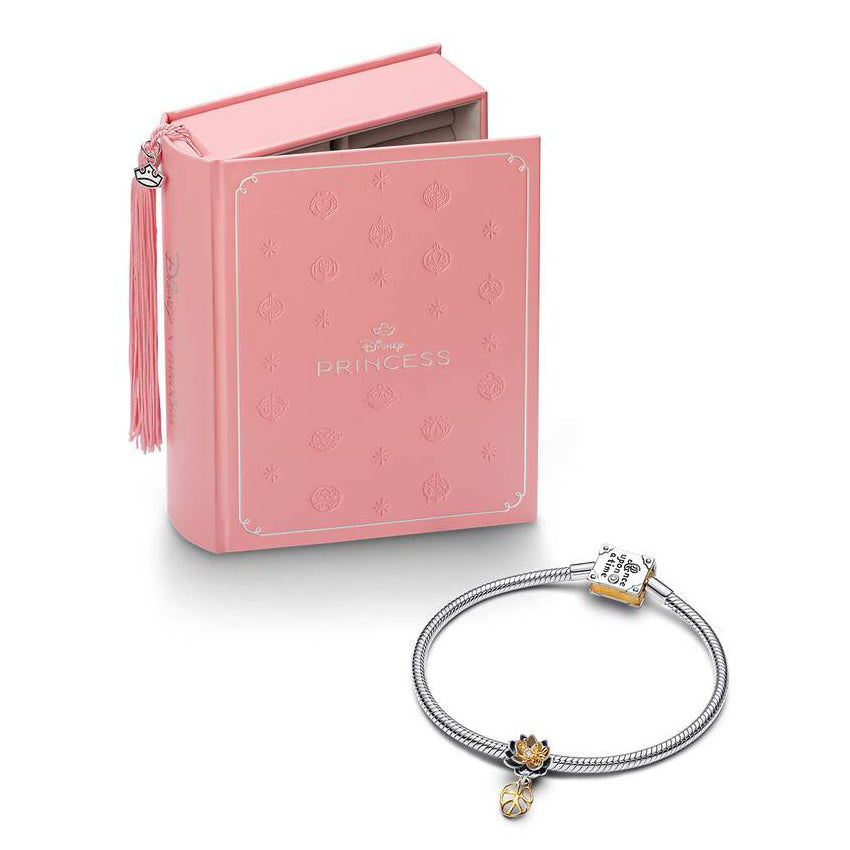 Pink jewelry box with 'The Princess' branding and a silver bracelet with charms on a white background.