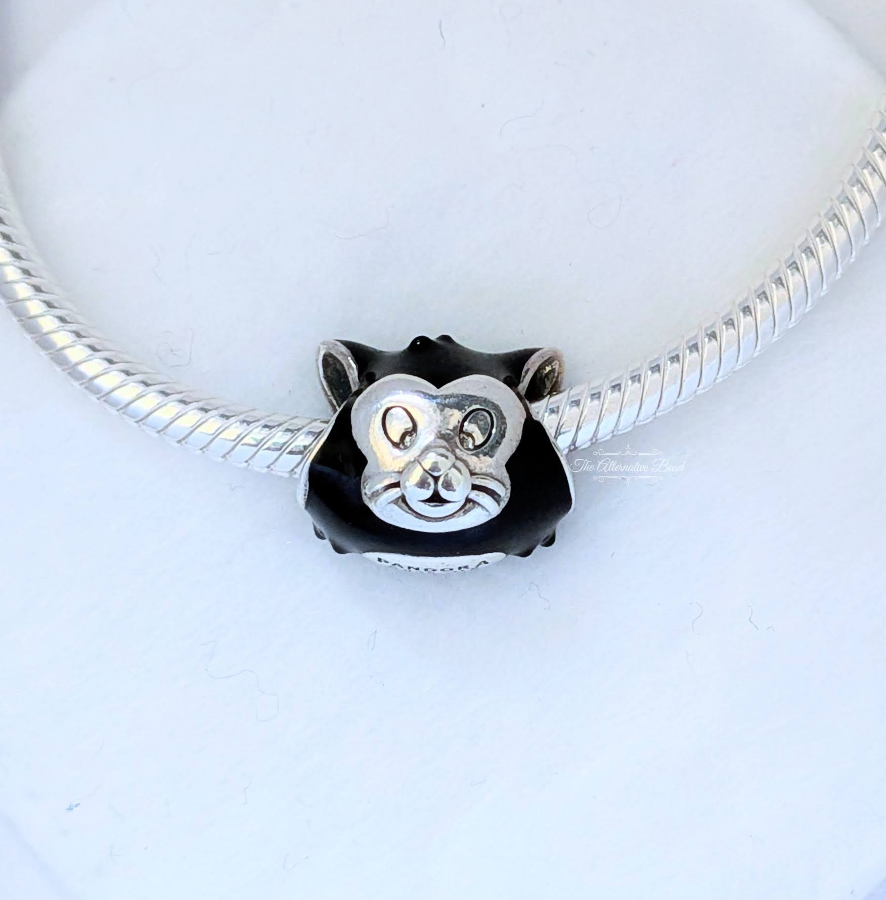 Figaro Portrait Charm