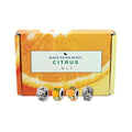 Black Raven Beads Citrus Kit Collectors Set by The Alternative Bead. Your official Black Raven Beads Retailer from Germany