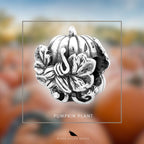 Pumpkin Plant