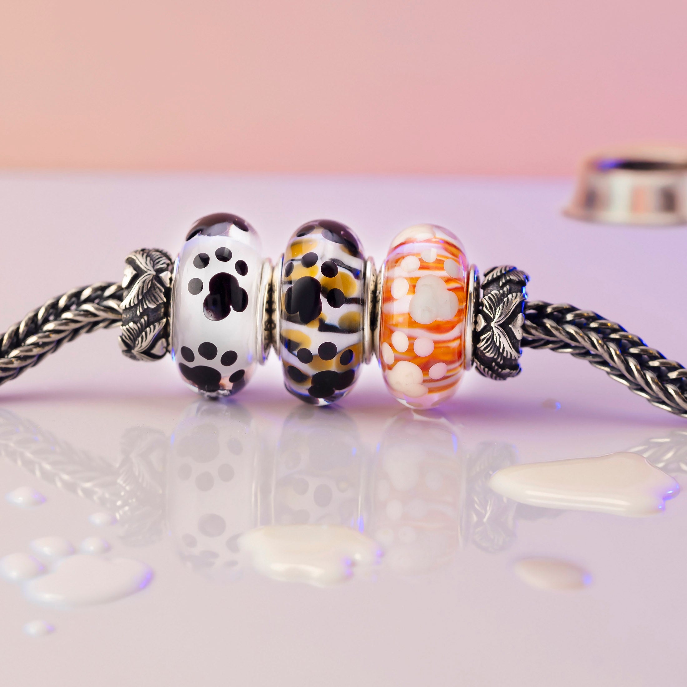 Paws of Little Chaos