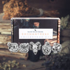 Black Raven Beads Enchantress Collectors Set by The Alternative Bead. Your official Black Raven Beads Retailer from Germany